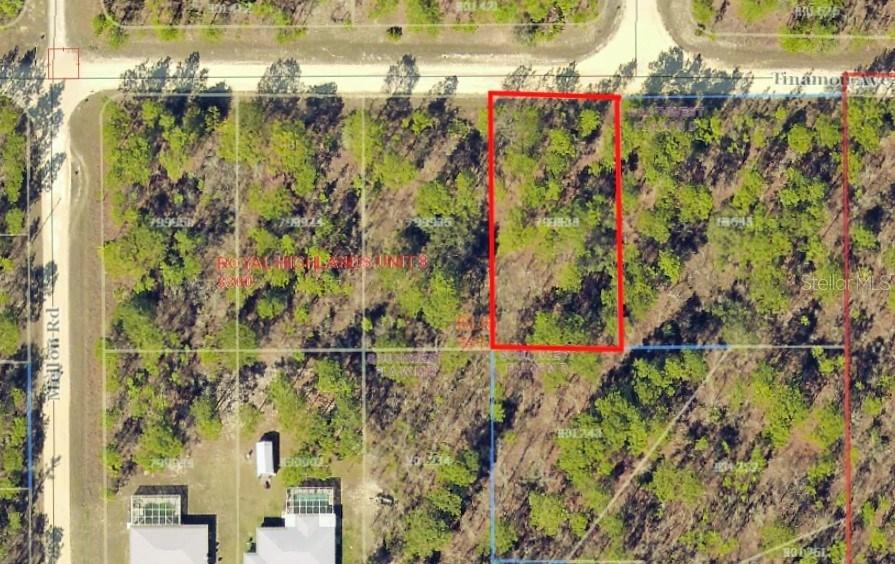 LOT2 Tinamou, Brooksville, FL 34614