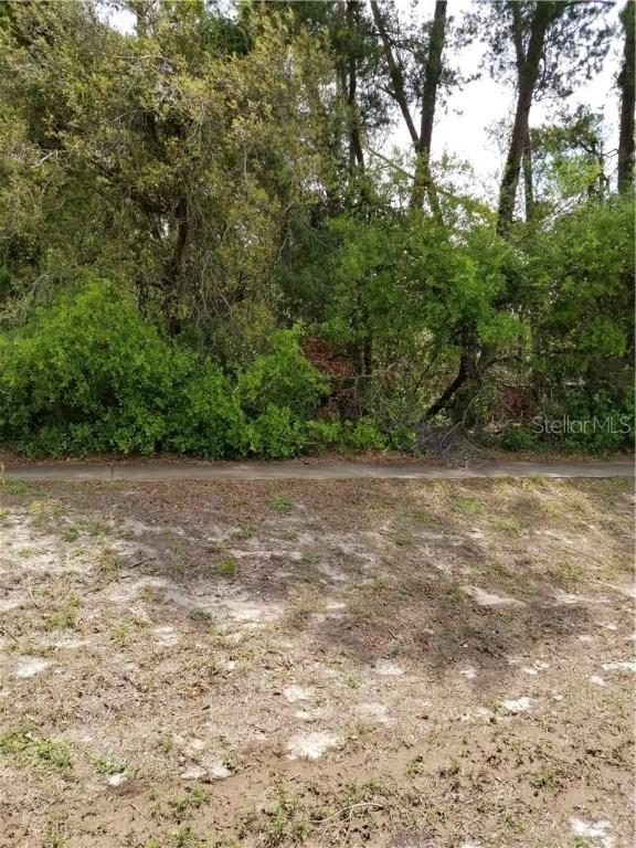 5420 Deltona Blvd., Spring Hill, FL 34606