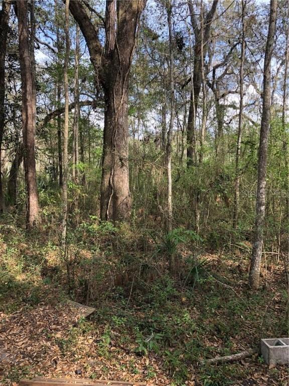 Hiking Path Tr., Brooksville, FL 34601