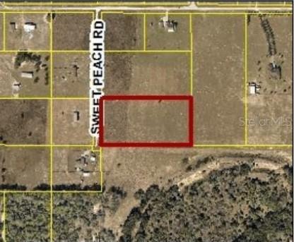 11118 Sweet Peach Rd., Brooksville, FL 34614