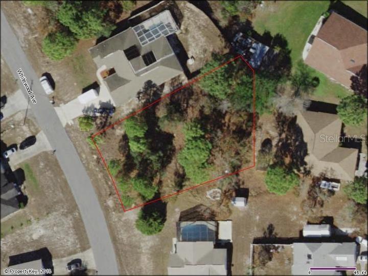 Whitewood Ave., Spring Hill, FL 34609