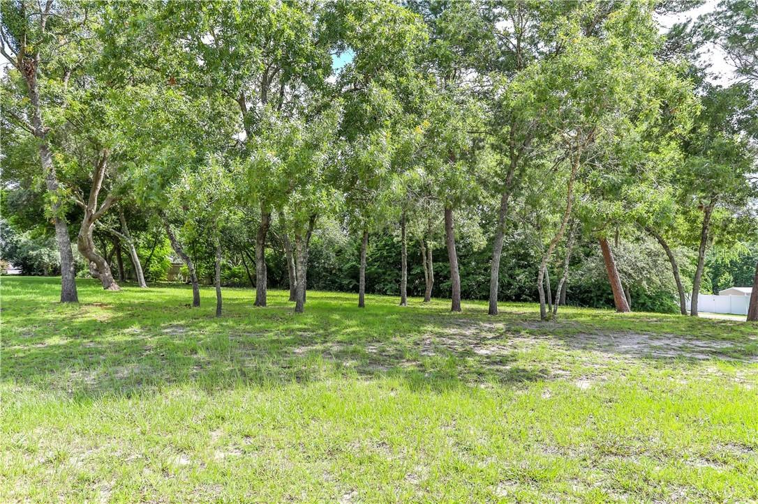 2265 Mint Ln., Spring Hill, FL 34609