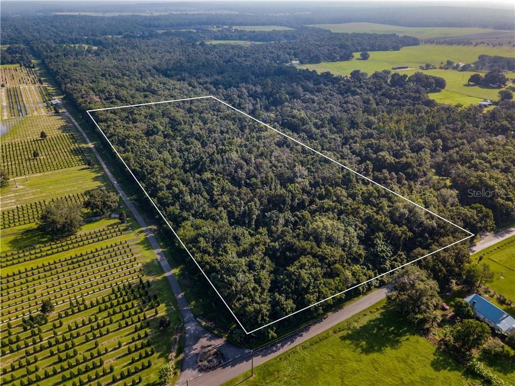 11361 Canopy Oaks Rd., Brooksville, FL 34601