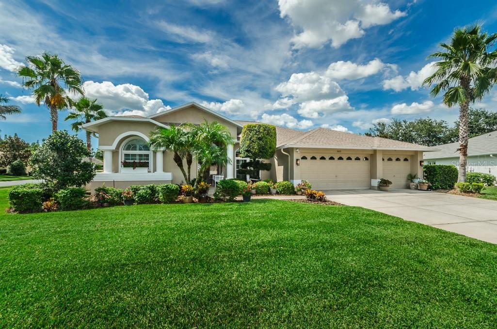 1603 Stag Run Ct., Trinity, FL 34655