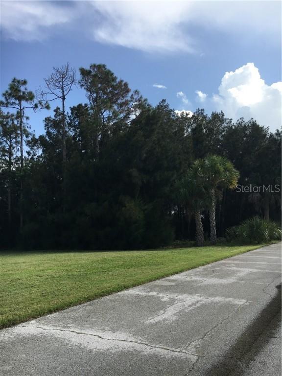 Josie Lane, Hudson, FL 34667