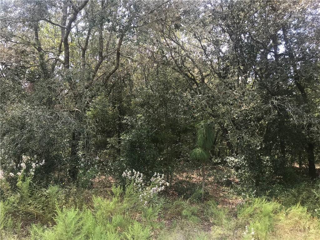 00 County Line Rd., Spring Hill, FL 34610