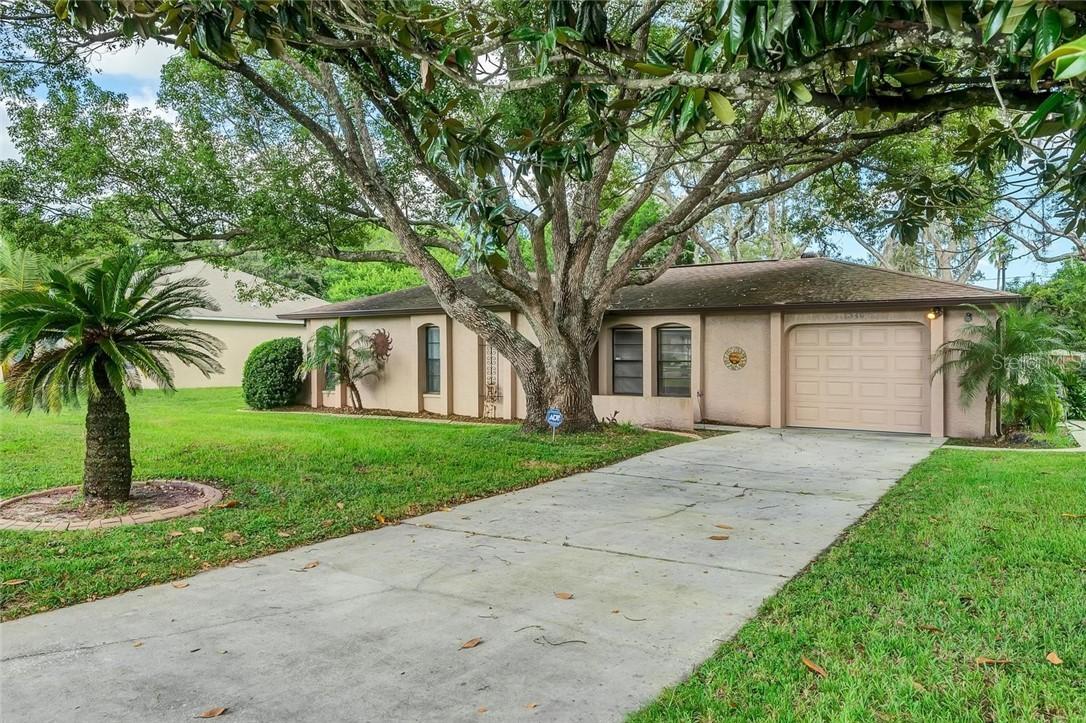 1346 Waterfall Dr., Spring Hill, FL 34608