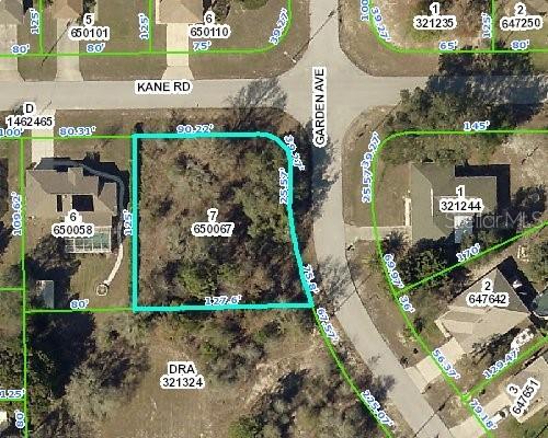 13374 Kane Rd., Spring Hill, FL 34609