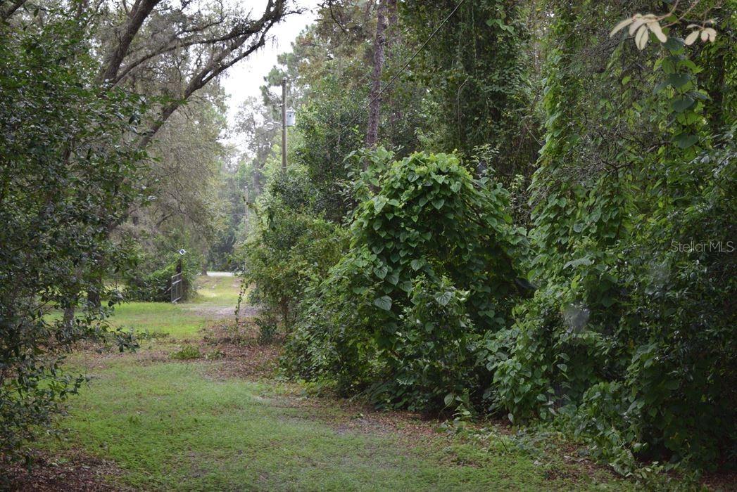 14801 Garson Loop, Spring Hill, FL 34610
