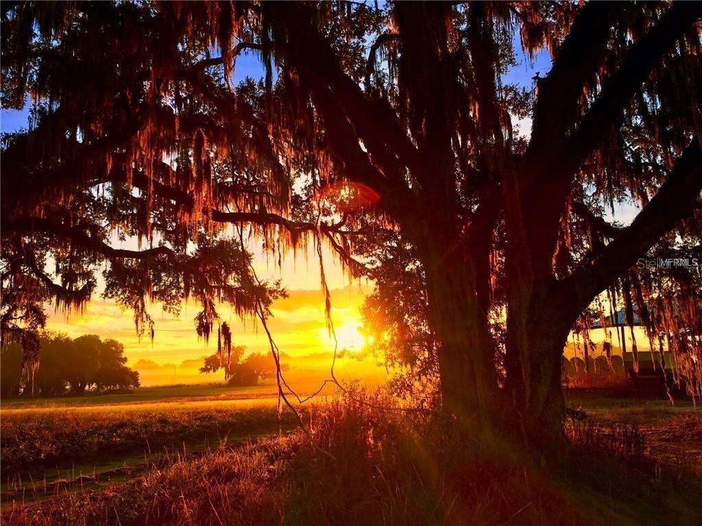 Mondon Hill Rd., Brooksville, FL 34601