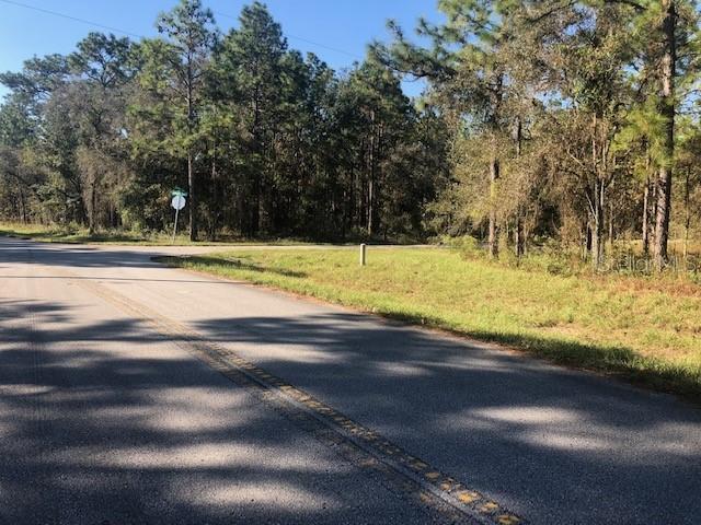 Jumper Loop (divine Lot 14), Brooksville, FL 34609