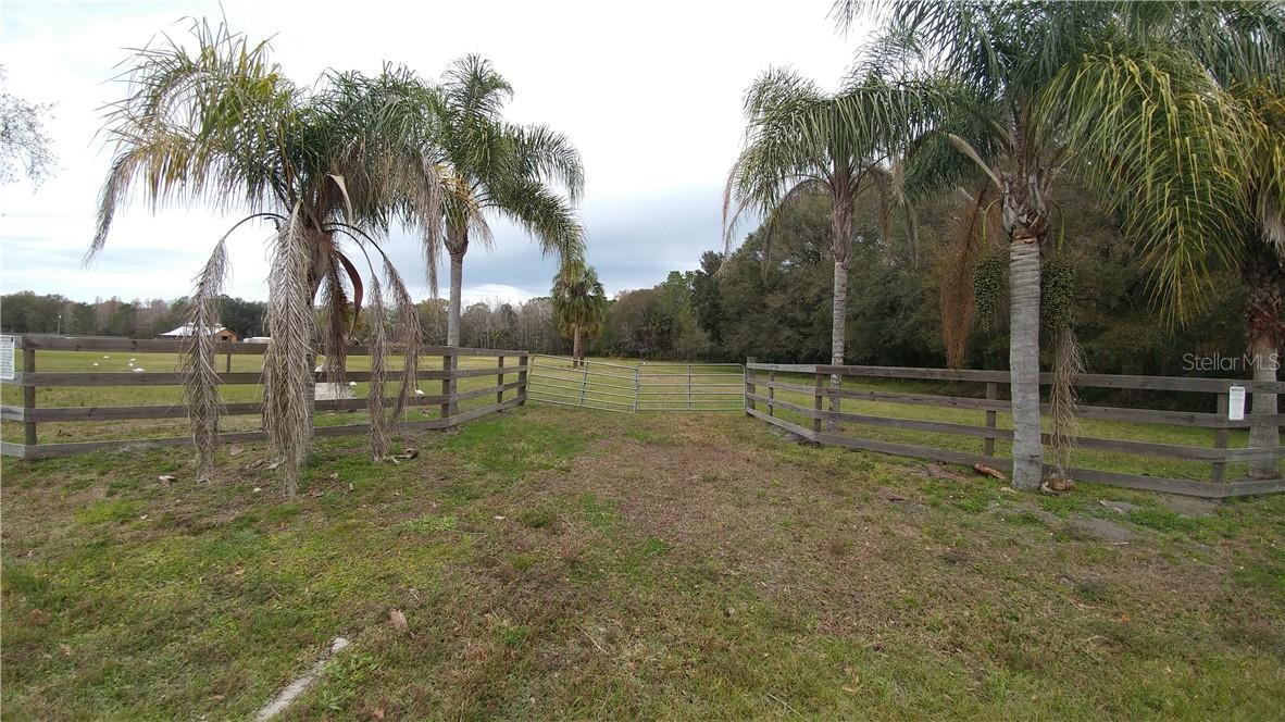 25801 Armenian Ln., Wesley Chapel, FL 33544