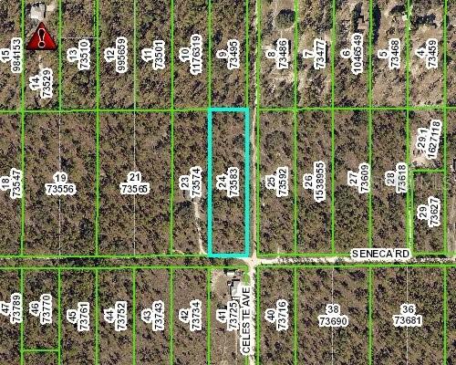 [Address Hidden by Seller], Brooksville, FL 34613