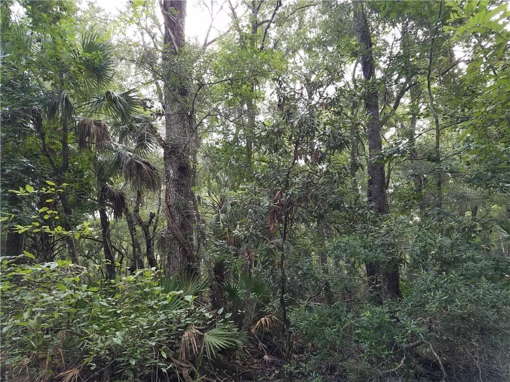 9921 SW Cr 345 St., Chiefland, FL 32626