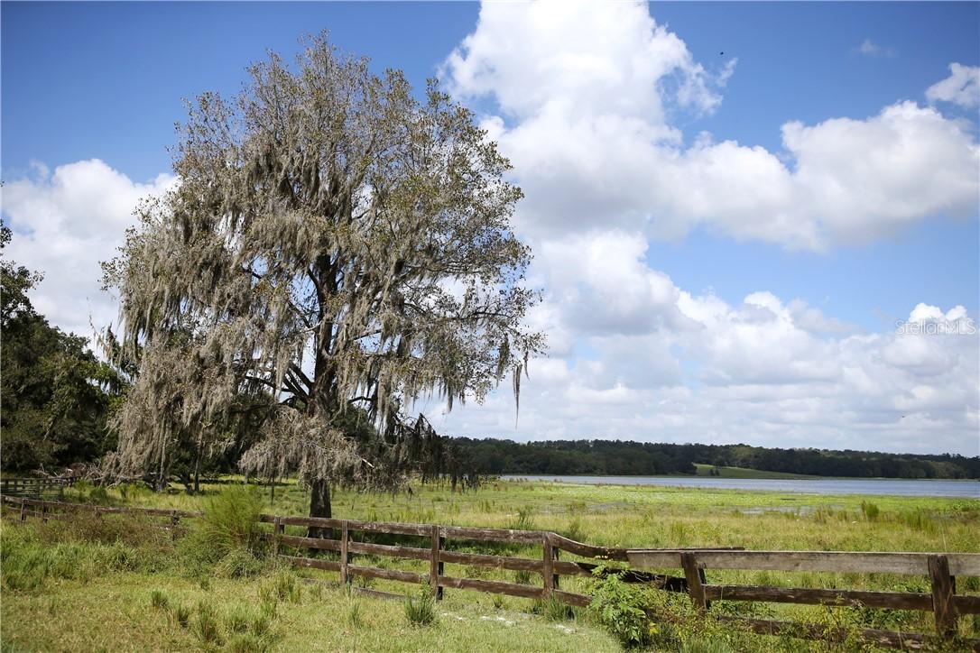 2461 Fair Fortune Ln., Brooksville, FL 34602