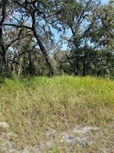 Denton, Hudson, FL 34667