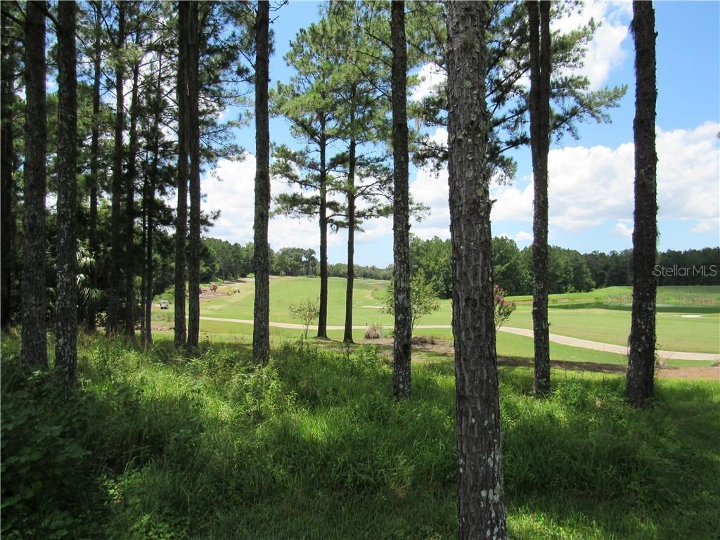 000 Majestic Hills Loop, Brooksville, FL 34601