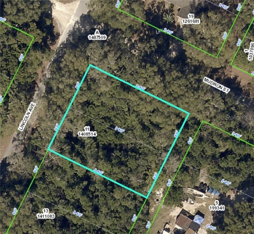 00 Lincoln Ave., Brooksville, FL 34604