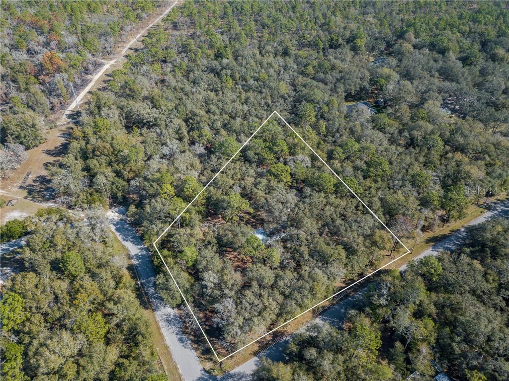 24371 Evaline St., Brooksville, FL 34601