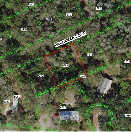 12456 Pallanza Loop, New Port Richey, FL 34654