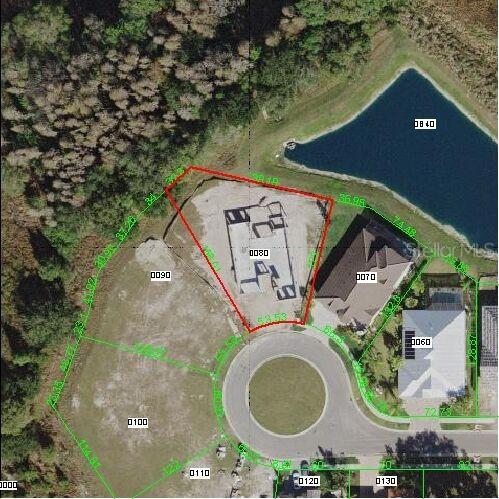 32801 Estate Garden Dr., Wesley Chapel, FL 33545