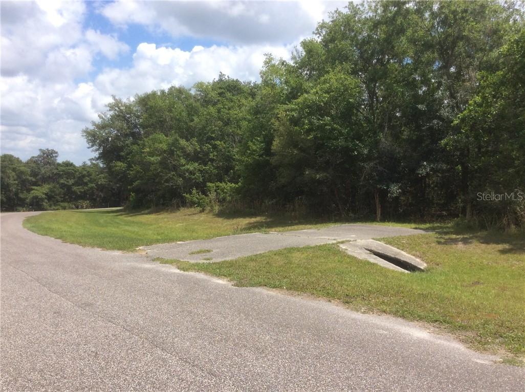 23330 June Bug Tr., Brooksville, FL 34602