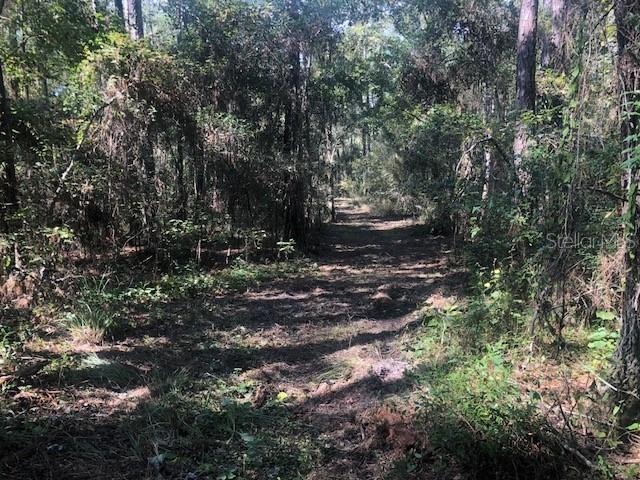 Deerfly Rd., Brooksville, FL 34602