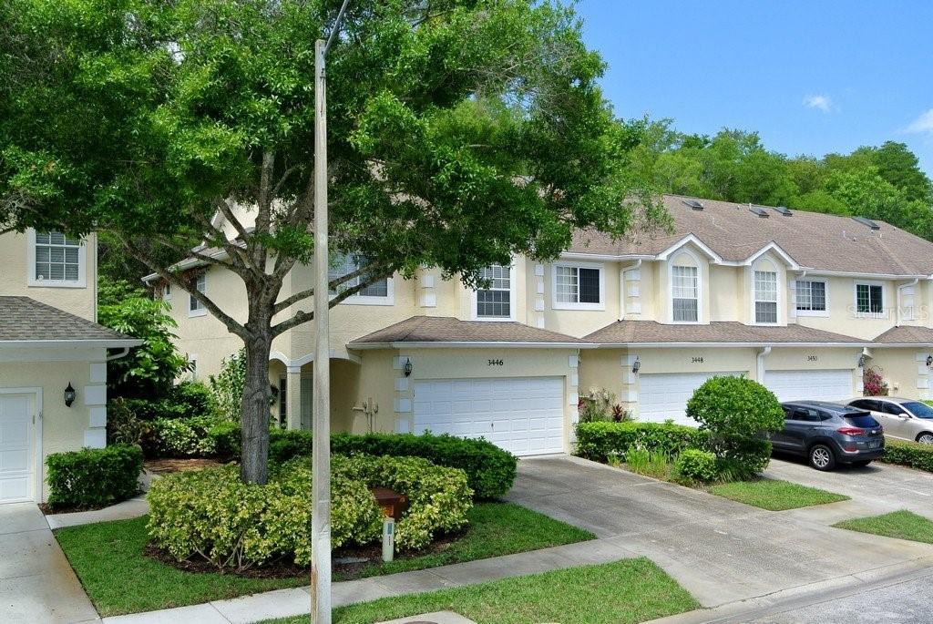 3446 Primrose Way, Palm Harbor, FL 34683