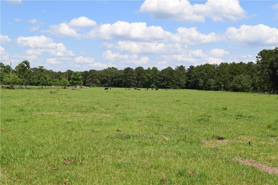 00 Culbreath Rd, Brooksville, FL 34602