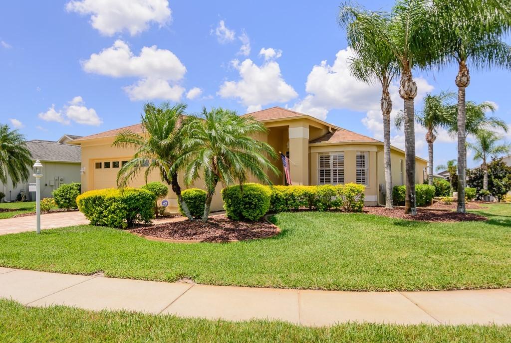 12104 Broadgreen Pl., Trinity, FL 34655