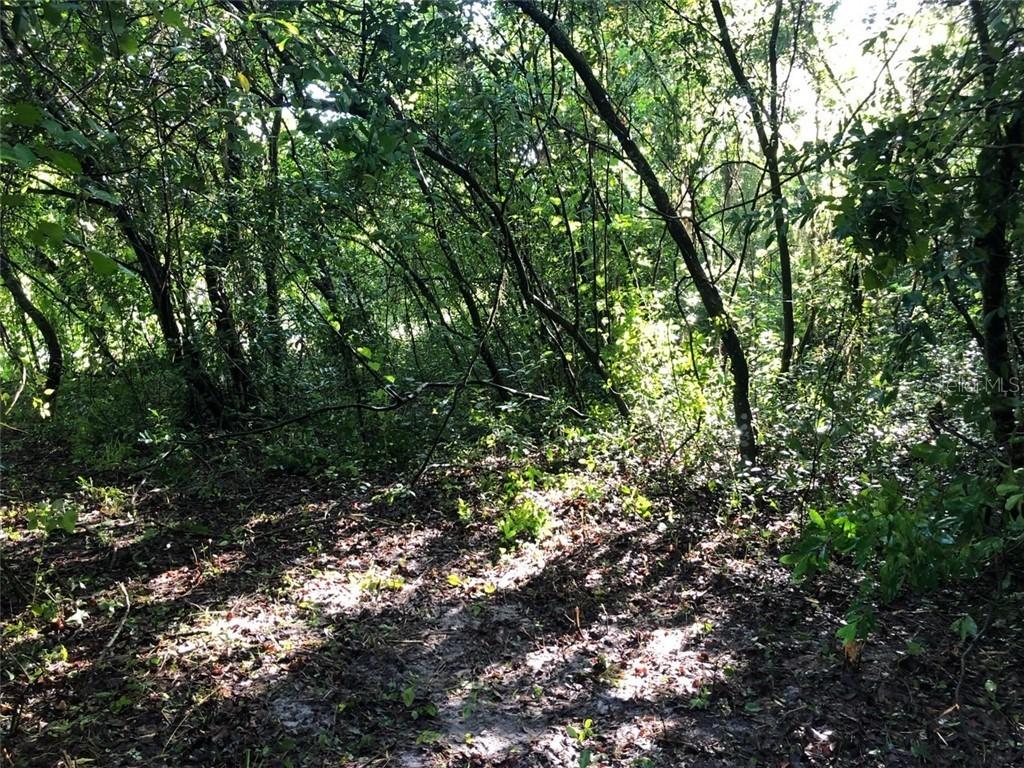 N Carver, New Port Richey, FL 34654