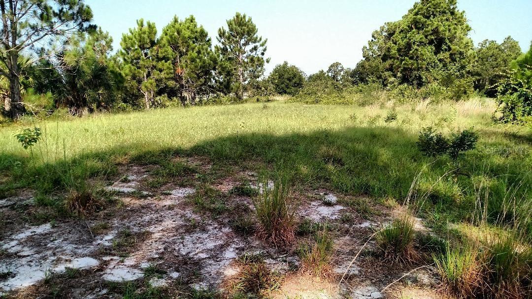 26397 Scham Rd., Punta Gorda, FL 33955