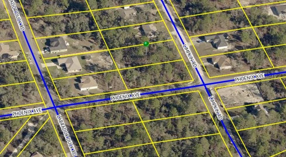 11485 Limpkin Rd., Brooksville, FL 34614