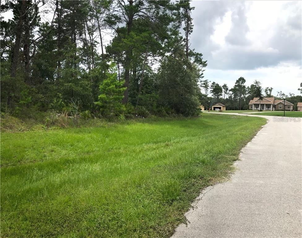 13915 Sand Oak Ct., Hudson, FL 34669