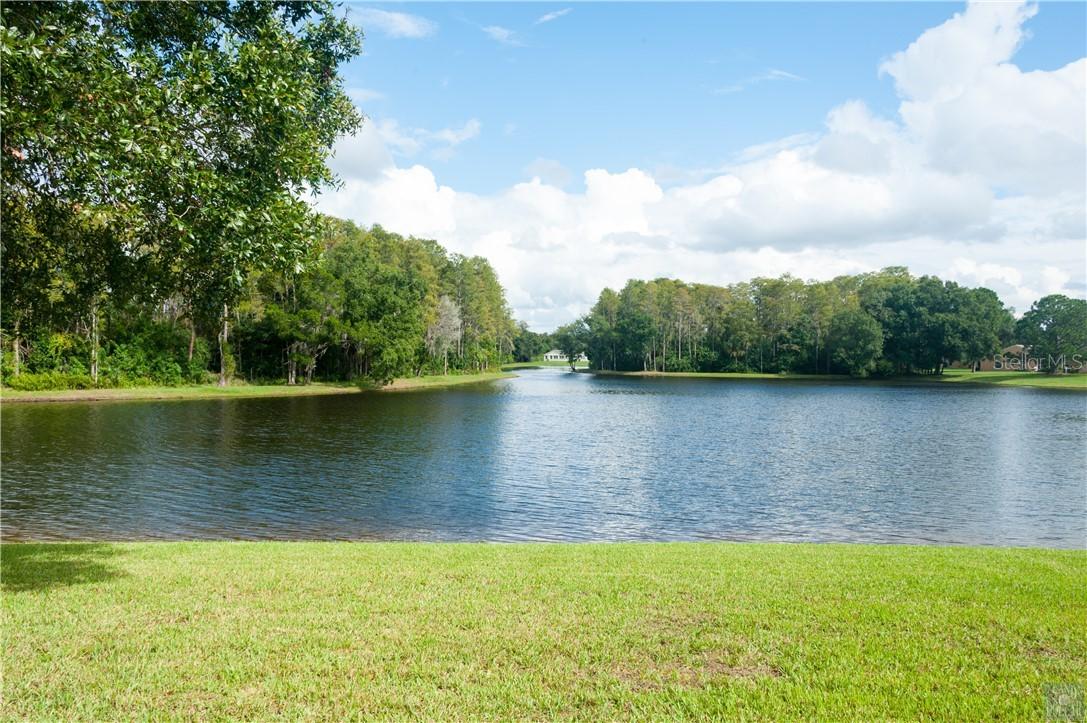 9128 Cotswald Way, New Port Richey, FL 34655