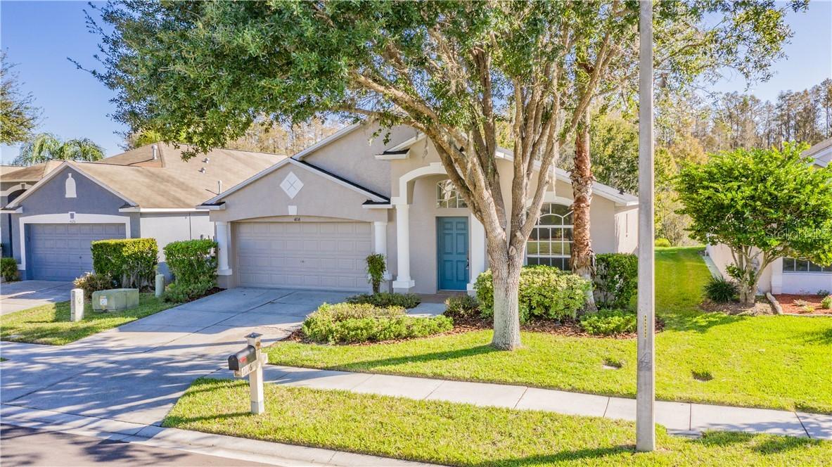 4116 Marchmont Blvd., Land O Lakes, FL 34638