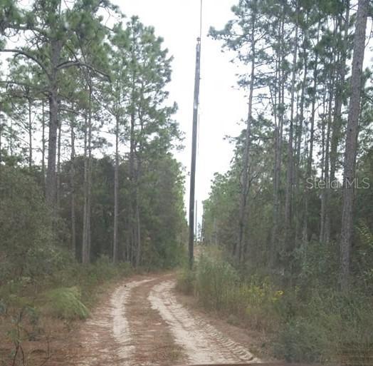 13223 Seneca Rd., Weeki Wachee, FL 34614