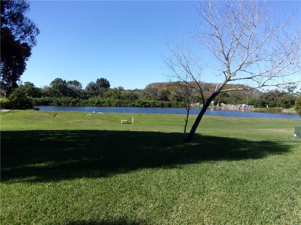 12347 Dearborn Dr. #D, Hudson, FL 34667