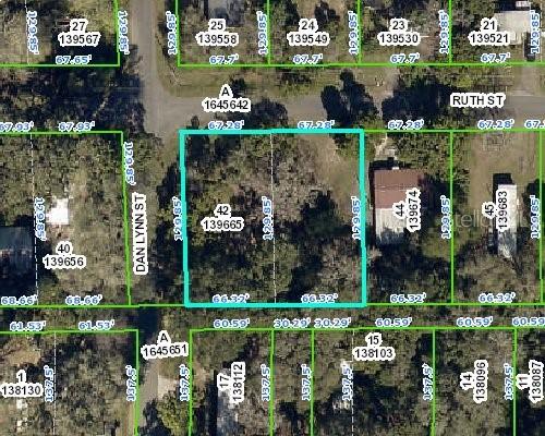 9170 Dan Lynn St., Brooksville, FL 34601