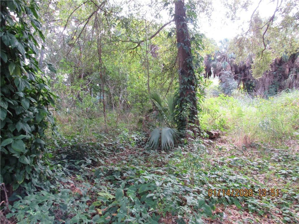 Avery Ave., Palm Harbor, FL 34683