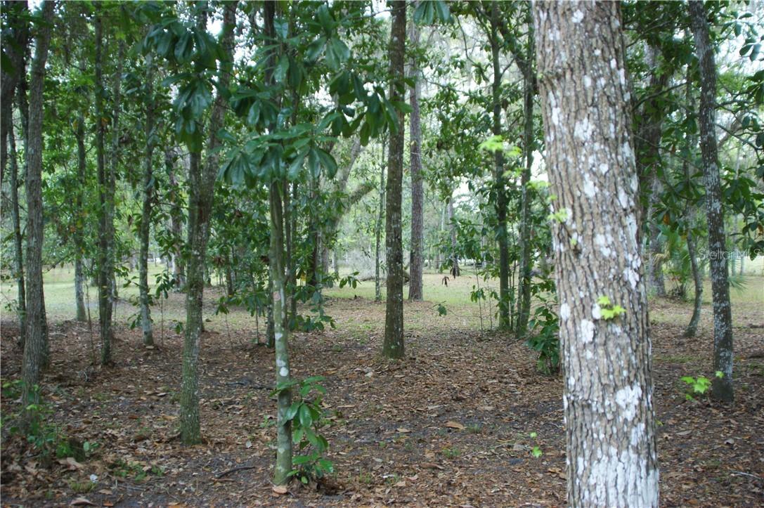 Perimeter Dr., Brooksville, FL 34614