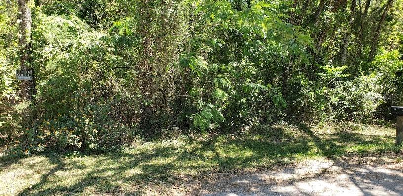 24430 Duffield Rd., Brooksville, FL 34601