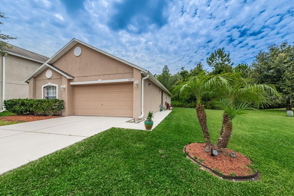 3645 Fyfield Ct., Land O Lakes, FL 34638