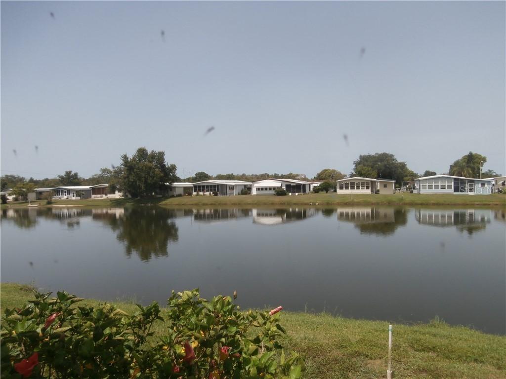 3115 Buckner Ct., Holiday, FL 34690