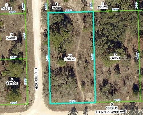 Piping Plover Ave., Brooksville, FL 34614