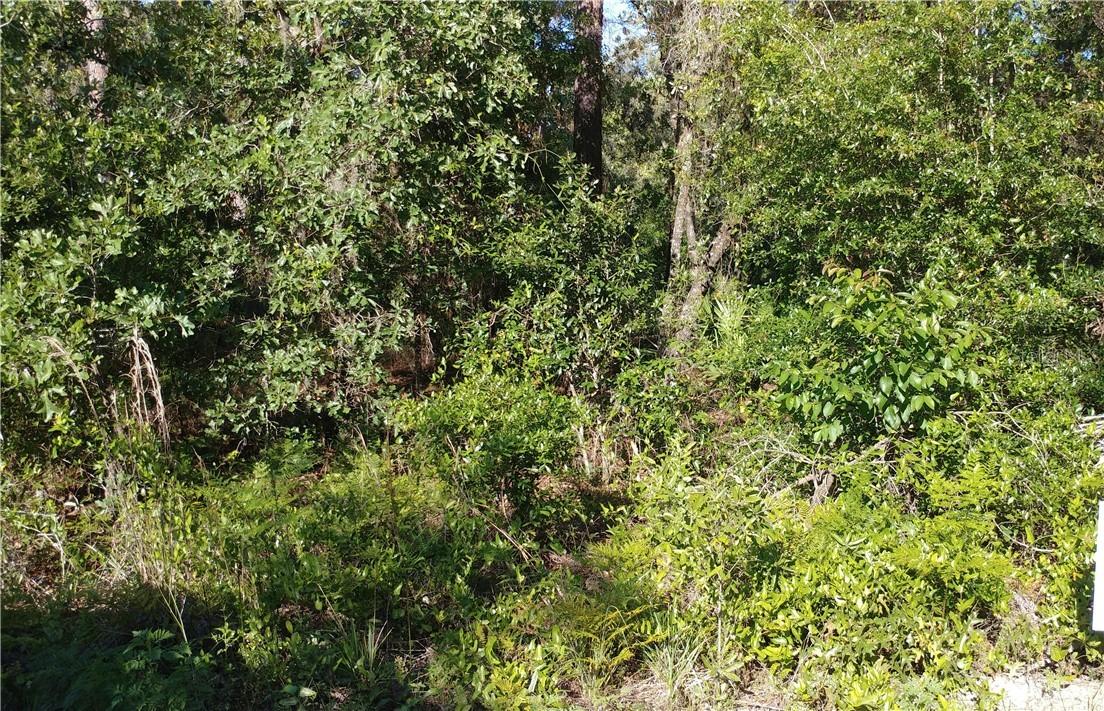 4829 N Mattox Point, Crystal River, FL 34428