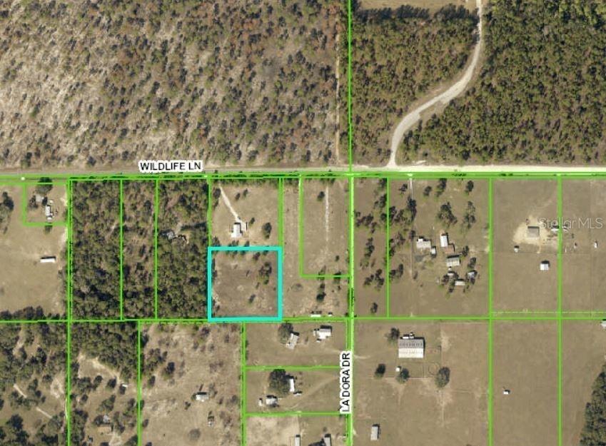 Wildlife Ln., Brooksville, FL 34602