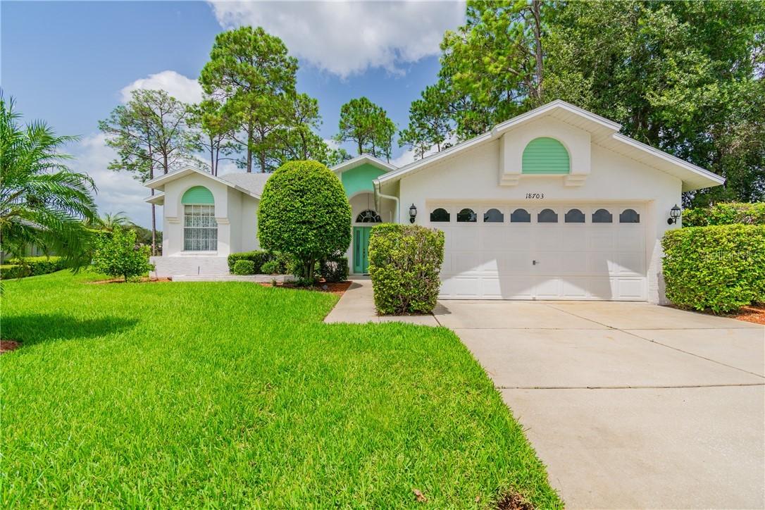 18703 Dove Hollow Ct., Hudson, FL 34667