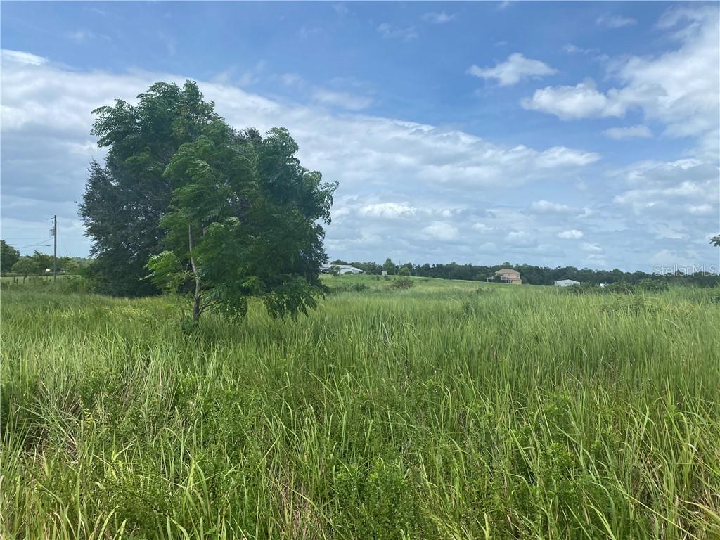 15143 Peach Bloom Rd., Brooksville, FL 34614