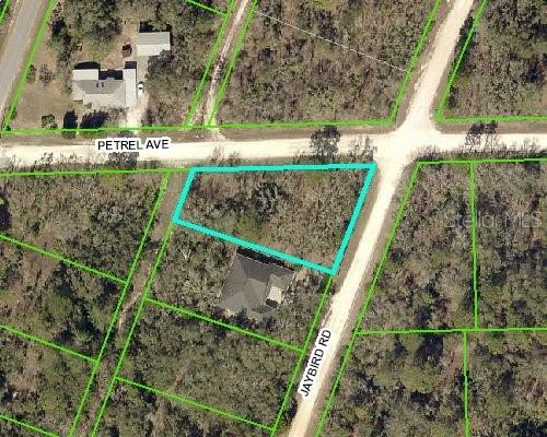 Petrel Ave., Brooksville, FL 34614